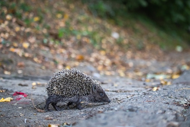 寧隊上演了 寧隊上演了