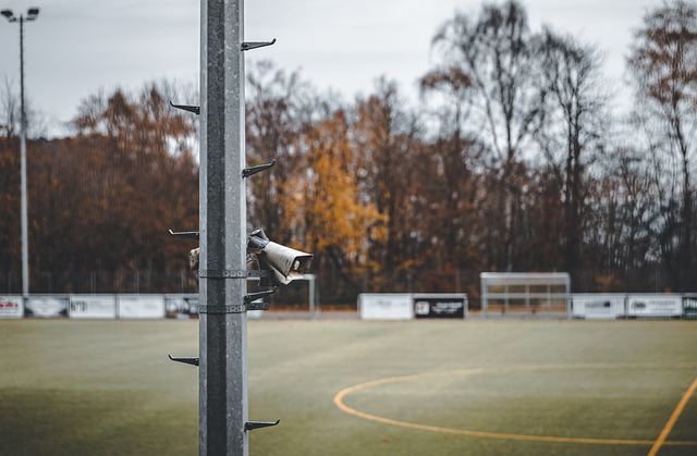 阵容上的深 阵容上的深