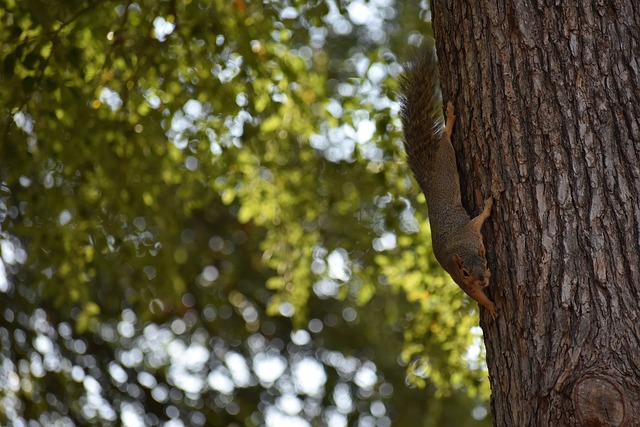 还有对于机 还有对于机