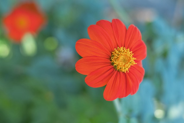 的反应却显 的反应却显