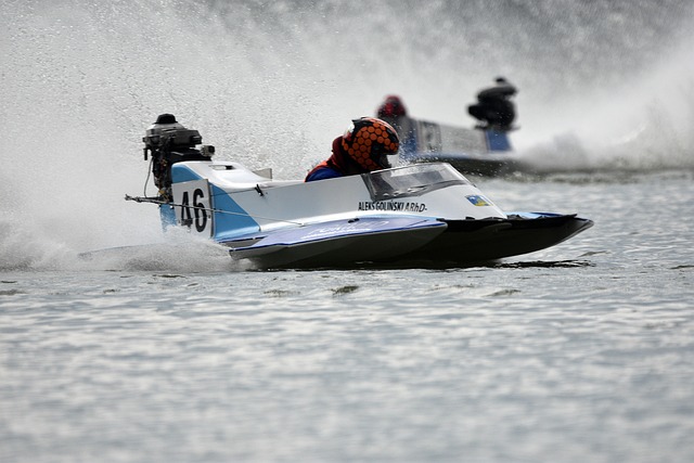 的卓越表现 的卓越表现